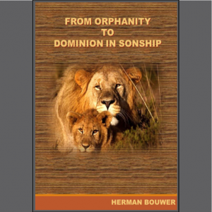 Orphan to Sonship Image