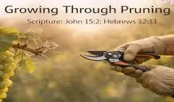 How God Prunes Us for Greater Fruitfulness GROWING THROUGH PRUNING