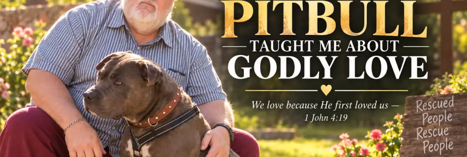 PABLO THE RESCUED PITTY