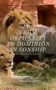 From Orphanity to Dominion in Sonship